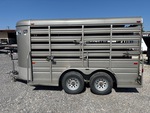General Appearance with Paint
