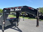 General Appearance with Paint