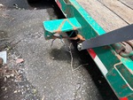 Trailer Chassis with Brake Lights Functional