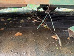 Trailer Chassis with Axle Condition