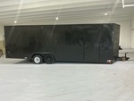 General Appearance with Paint