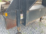 General Appearance with Paint