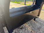 General Appearance with Paint