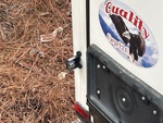 Trailer Chassis with License Plate Light Functional