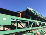 Conveyor/Rollers with