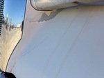 General Appearance with Pintura
