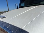 General Appearance with Pintura