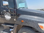 General Appearance with Paint