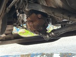 4 Underbody - Truck with Pompa a presa di potenza