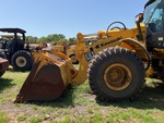 General Appearance with Paint