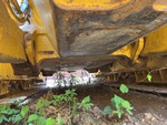 Chassis with Belly Pans