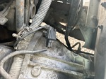 Engine with Exhaust System