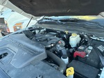 Motore with