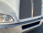General Appearance with Pintura