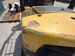 General Appearance with Paint