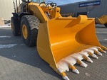 General Appearance with Paint
