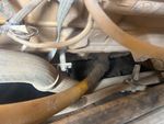 Engine with Oil Leaks