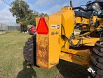 General Appearance with Paint