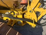 General Appearance with Paint