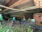 Trailer Chassis with Axle Condition