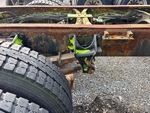 Underbody with