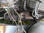 Engine with Exhaust System