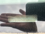 General Appearance with Frame Stamp Serial Number/VIN Photo