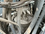 Idraulica with Motore di brandeggio