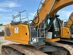 General Appearance with Paint