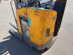 General Appearance with Paint
