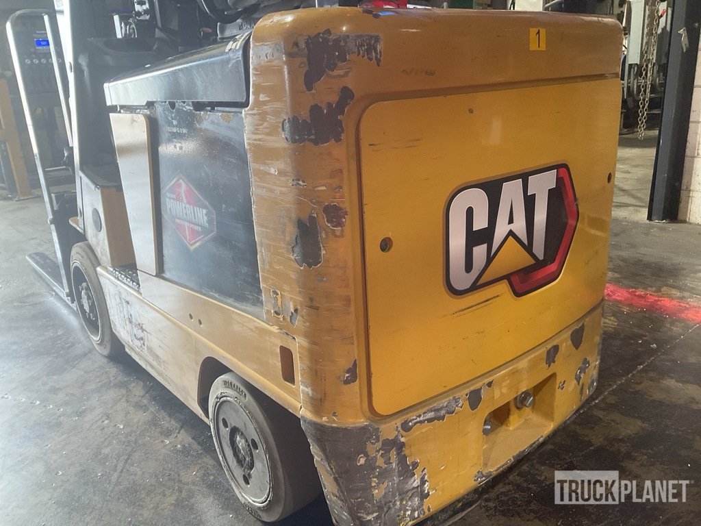 General Appearance with Paint