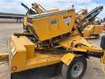 General Appearance with Paint