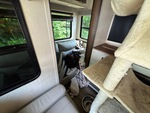 Interior with