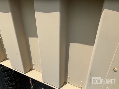 General Appearance with Paint