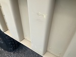 General Appearance with Paint