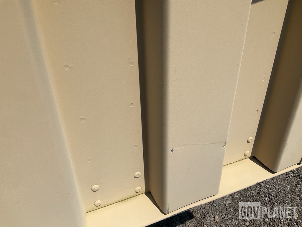 General Appearance with Paint