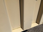 General Appearance with Paint
