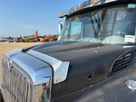 General Appearance with Paint