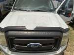 General Appearance with Pintura