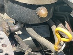 Engine with Emission Certification Label