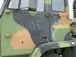 General Appearance with Paint