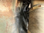 Engine with Oil Leaks