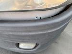 General Appearance with Paint