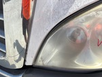 General Appearance with Paint