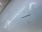 General Appearance with Paint