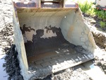 Specialty with Excavator Bucket Condition