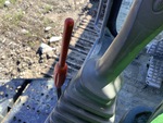 Safety with Safety Lock Out/Stop