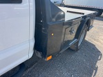 General Appearance with Paint