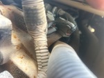 Drivetrain with Transmission