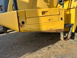 General Appearance with Paint
